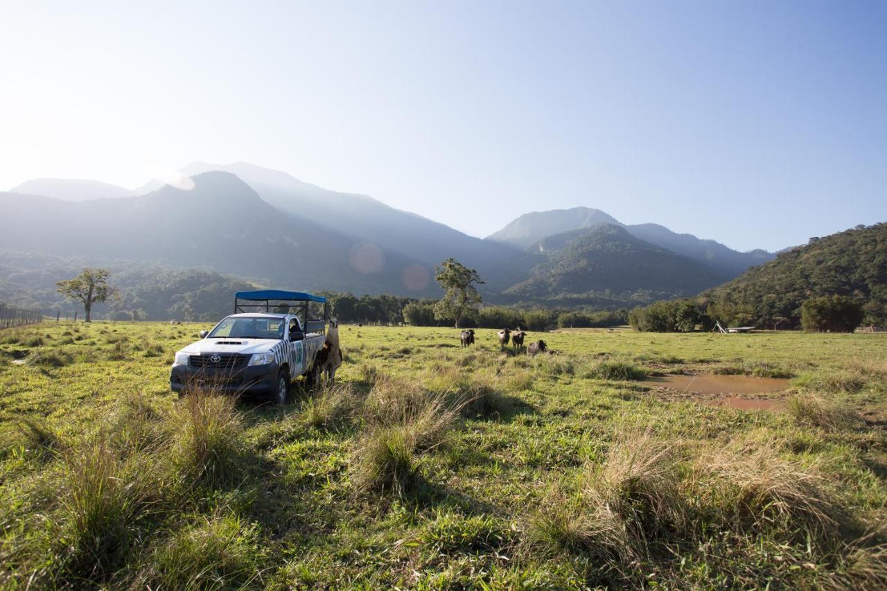 Portobello & Safari 5*